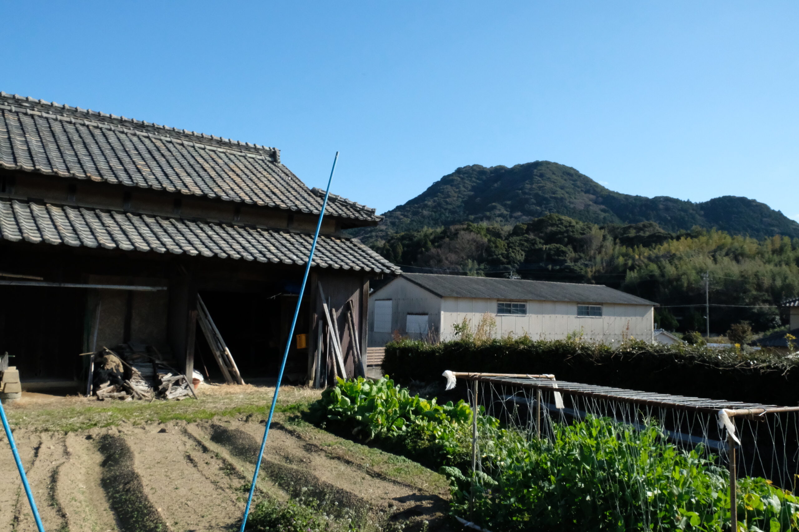 commercial 津屋崎大石