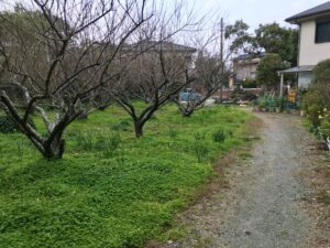 少し小道をゆけば